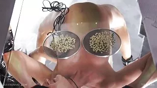 Gatas os melhores fi ...