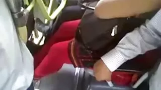 A insaciável gata ja ...