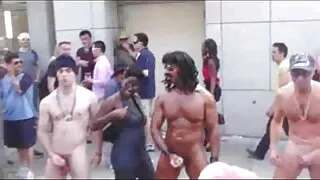 Garanhões febris gos ...